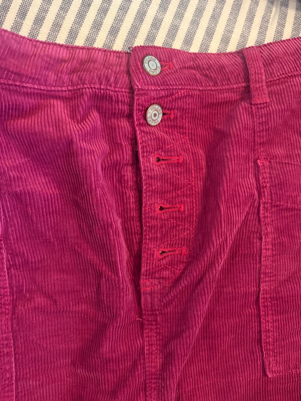 Anthropologie Corduroy Skirts - Brown and Fuchsia - Picture 3 of 7